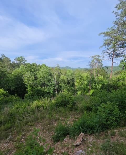 95 Ridgeline Lane, Mineral Bluff GA 30559 - Photo