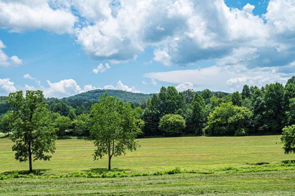 LT 151 The Ridges, Morganton GA 30560 - Photo