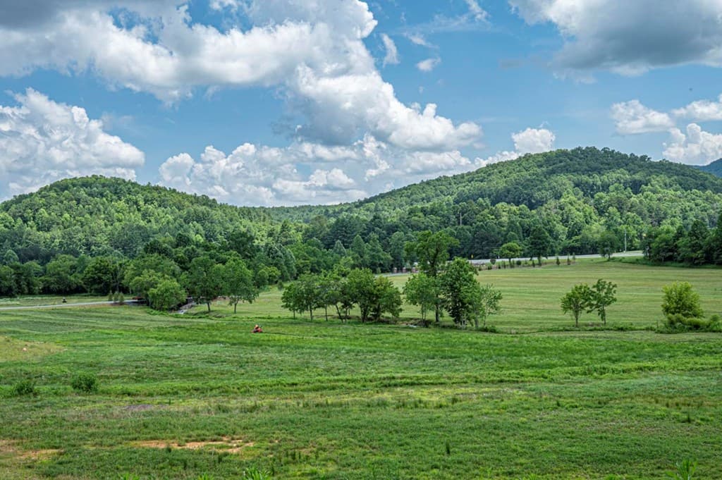 LT 151 The Ridges, Morganton GA 30560 - Photo