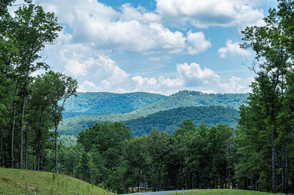 LT 151 The Ridges, Morganton GA 30560 - Photo