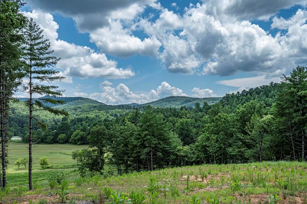 LT 151 The Ridges, Morganton GA 30560 - Photo