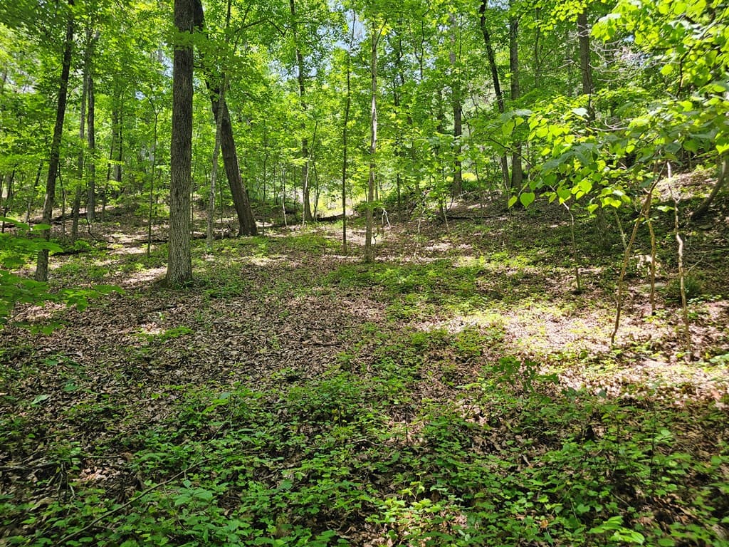 549 NE Myriad Way, Ranger GA 30734 - Photo