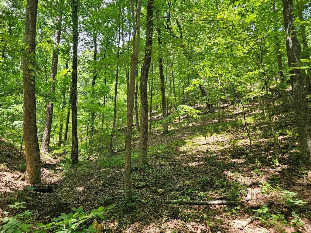 549 NE Myriad Way, Ranger GA 30734 - Photo
