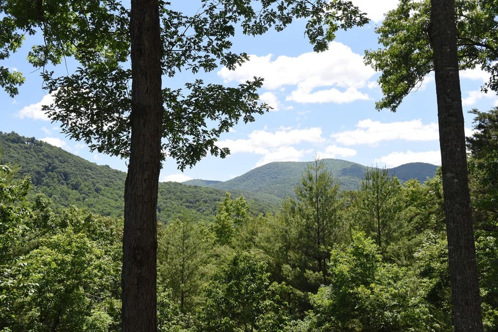 209 Moon Shadow Trail, Blairsville GA 30512 - Photo