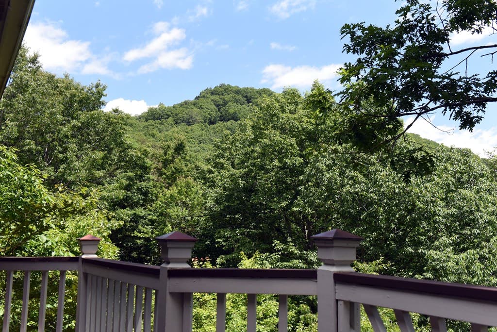 209 Moon Shadow Trail, Blairsville GA 30512 - Photo