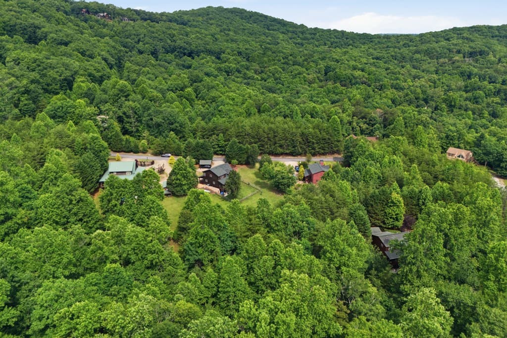 365 Sweetbay Drive, Blairsville GA 30512 - Photo