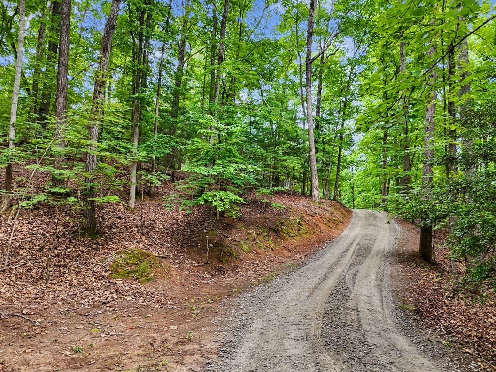 778 Wilmar Circle, Blairsville GA 30512 - Photo