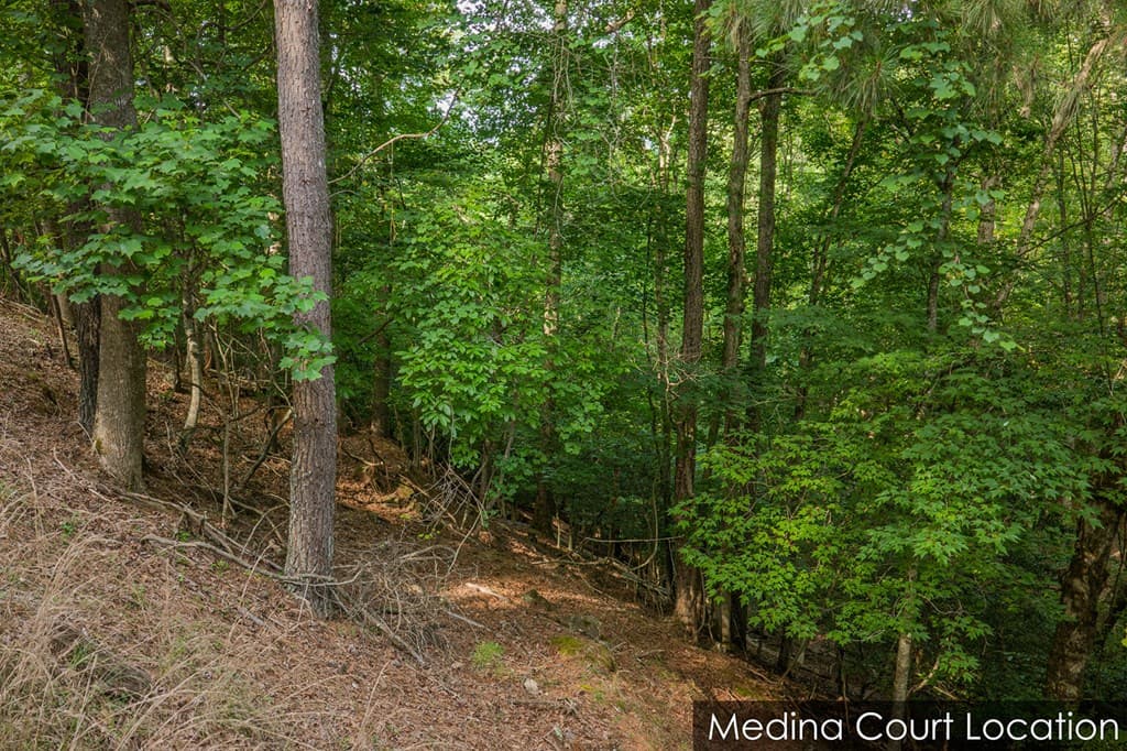 Lot 2800 Medina Court, Ellijay GA 30540 - Photo