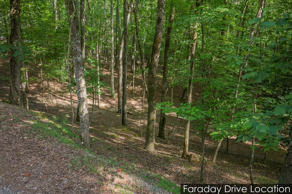 Lot 2800 Medina Court, Ellijay GA 30540 - Photo