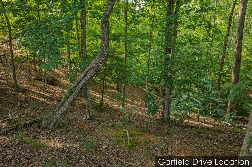 Lot 2800 Medina Court, Ellijay GA 30540 - Photo