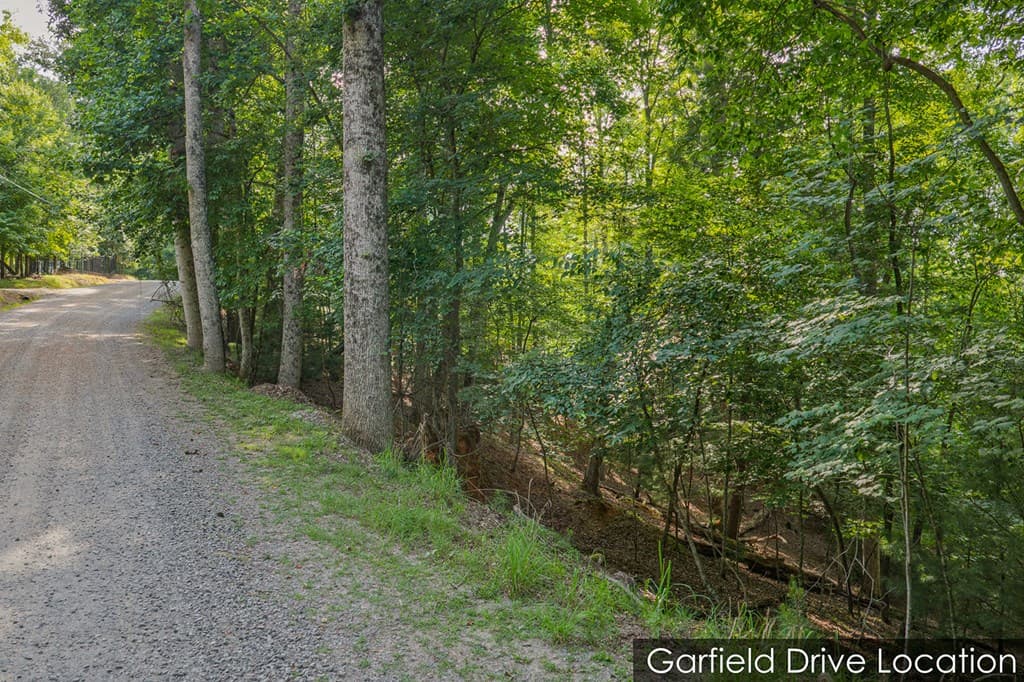 Lot 2800 Medina Court, Ellijay GA 30540 - Photo