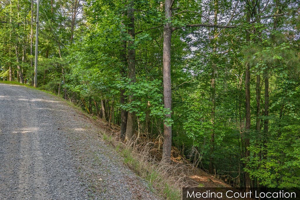 Lot 2800 Medina Court, Ellijay GA 30540 - Photo