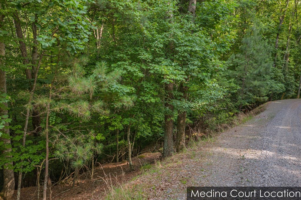 Lot 2800 Medina Court, Ellijay GA 30540 - Photo
