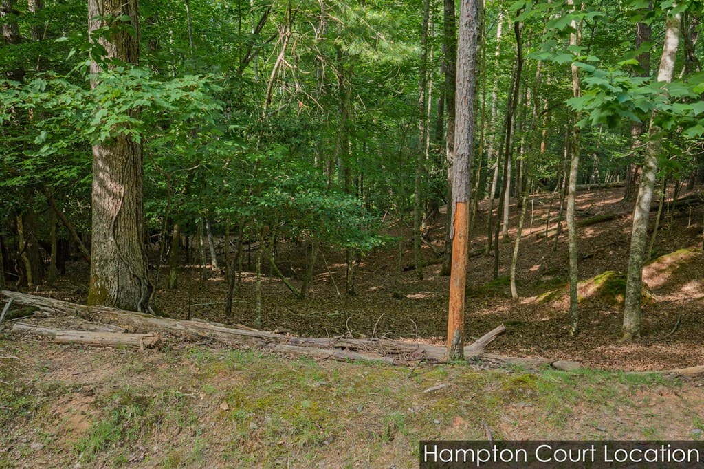 Lot 2800 Medina Court, Ellijay GA 30540 - Photo