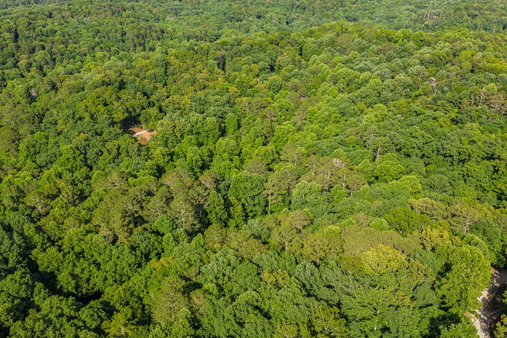 Lot 2800 Medina Court, Ellijay GA 30540 - Photo