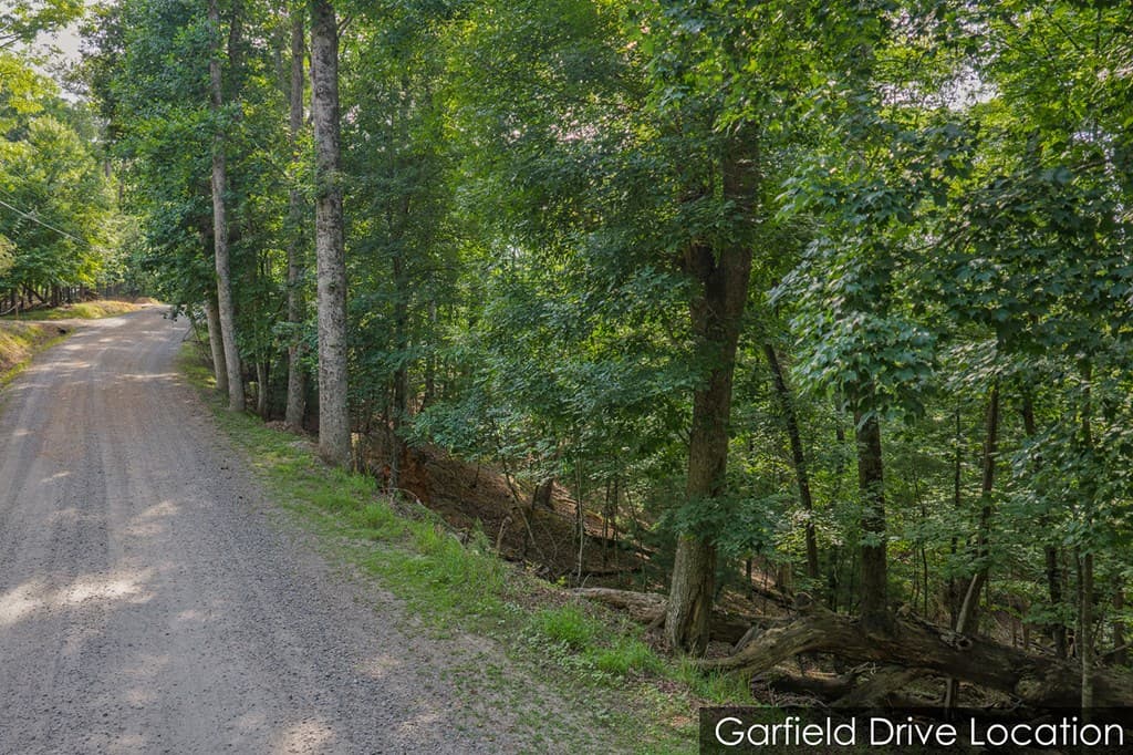 Lot 2800 Medina Court, Ellijay GA 30540 - Photo