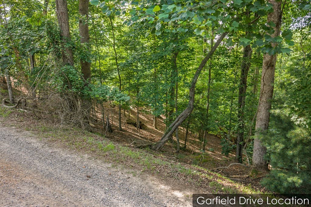 Lot 2800 Medina Court, Ellijay GA 30540 - Photo