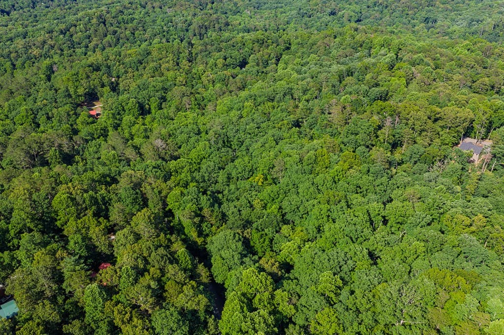 Lot 2800 Medina Court, Ellijay GA 30540 - Photo