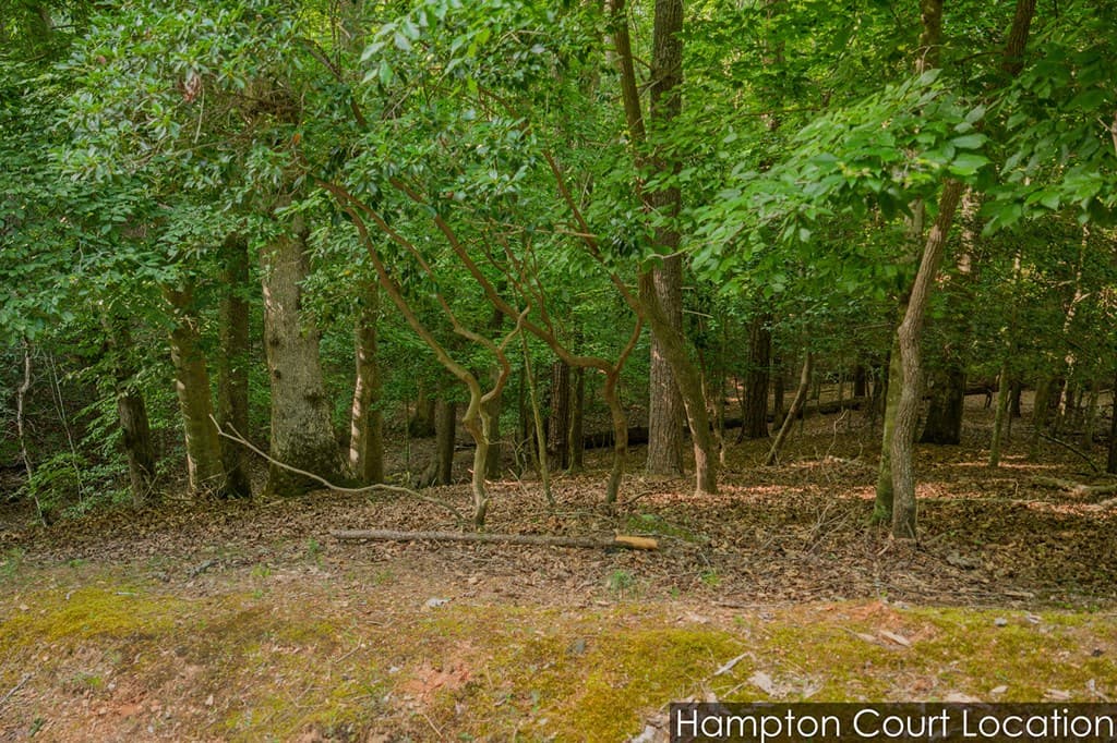 Lot 2800 Medina Court, Ellijay GA 30540 - Photo