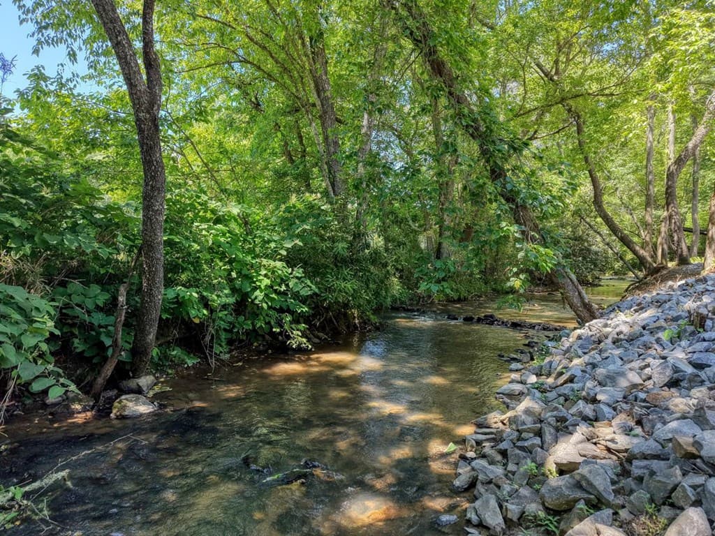 500 Williamstown Road S, Mineral Bluff GA 30559 - Photo