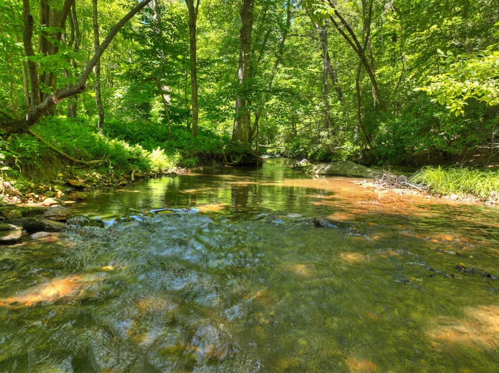 2628 Big Creek Road, Cherry Log GA 30522 - Photo