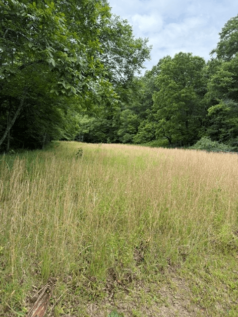 00 Patton Drive, Hayesville NC 28904 - Photo