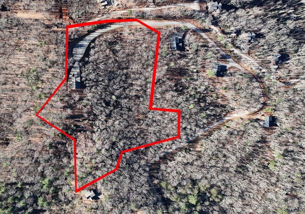 731 Native Trail, Blue Ridge GA 30513 - Photo