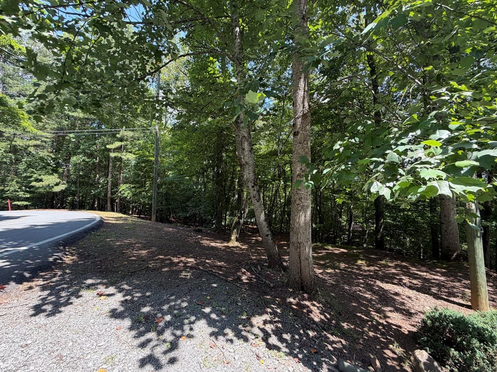 3545 Newport Drive, Ellijay GA 30540 - Photo