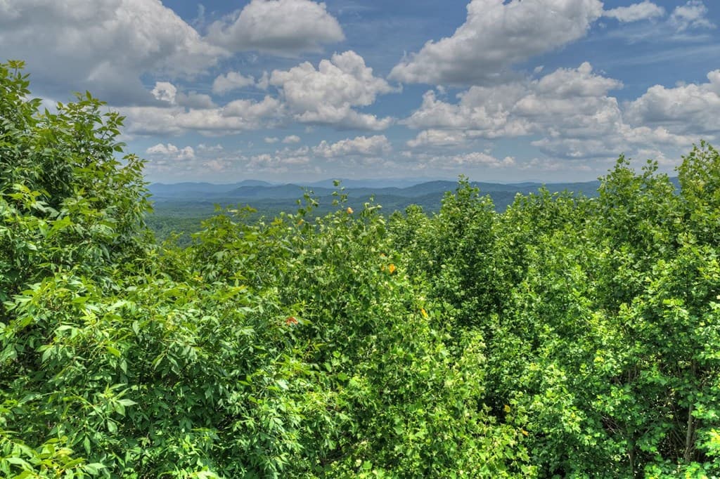 217 Catawba Drive, Mineral Bluff GA 30559 - Photo