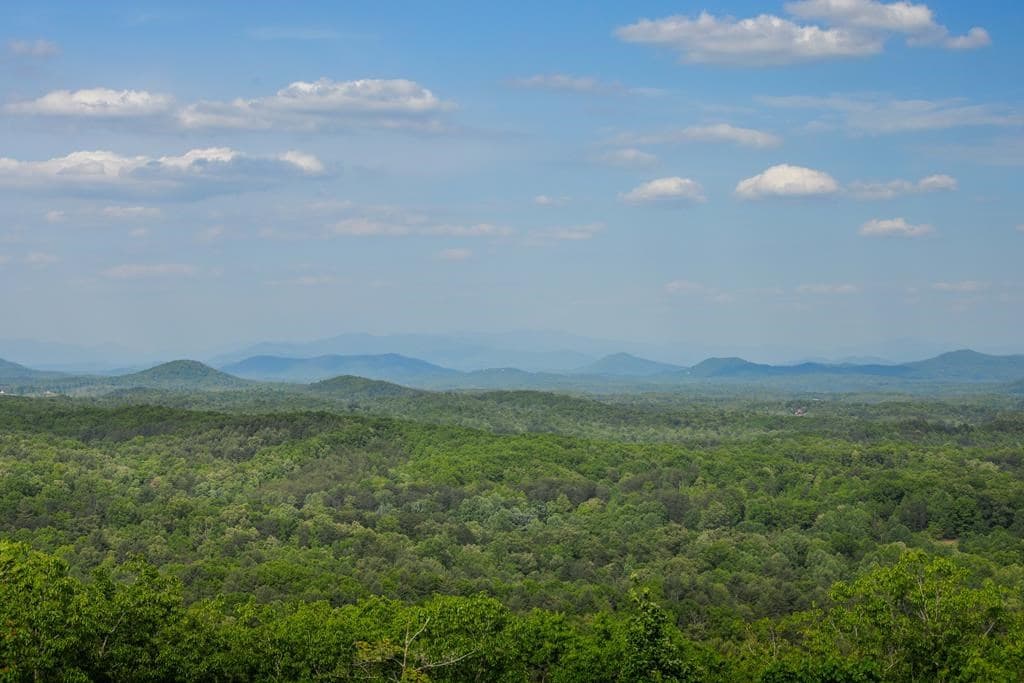 217 Catawba Drive, Mineral Bluff GA 30559 - Photo