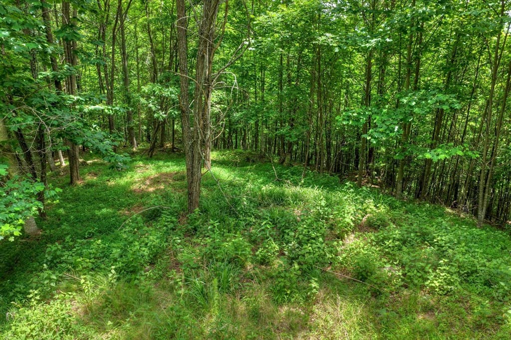217 Catawba Drive, Mineral Bluff GA 30559 - Photo