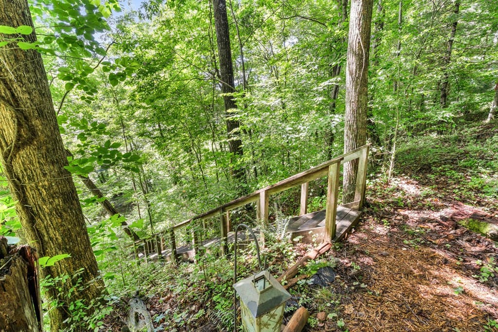 5875 Brasstown Creek Est, Young Harris GA 30582 - Photo