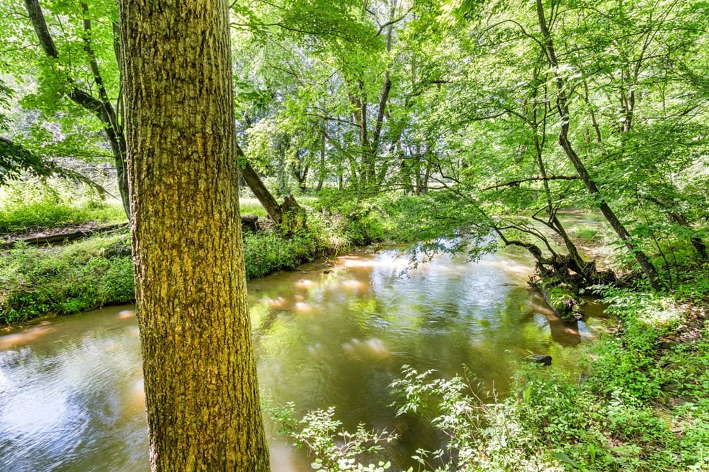 5875 Brasstown Creek Est, Young Harris GA 30582 - Photo