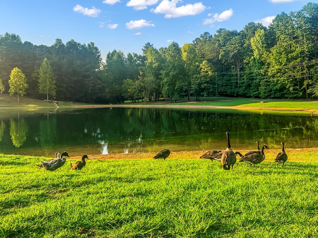 1269 Hunter Drive, Ranger GA 30734 - Photo