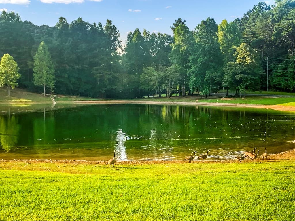 1269 Hunter Drive, Ranger GA 30734 - Photo