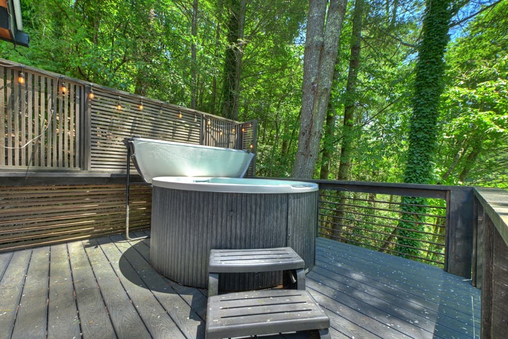 1027 Power Dam Road, Blue Ridge GA 30513 - Photo