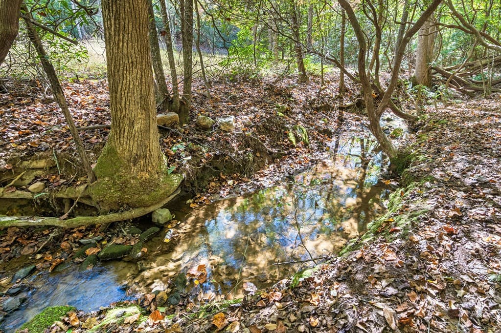217 Goldmine Road, Morganton GA 30560 - Photo