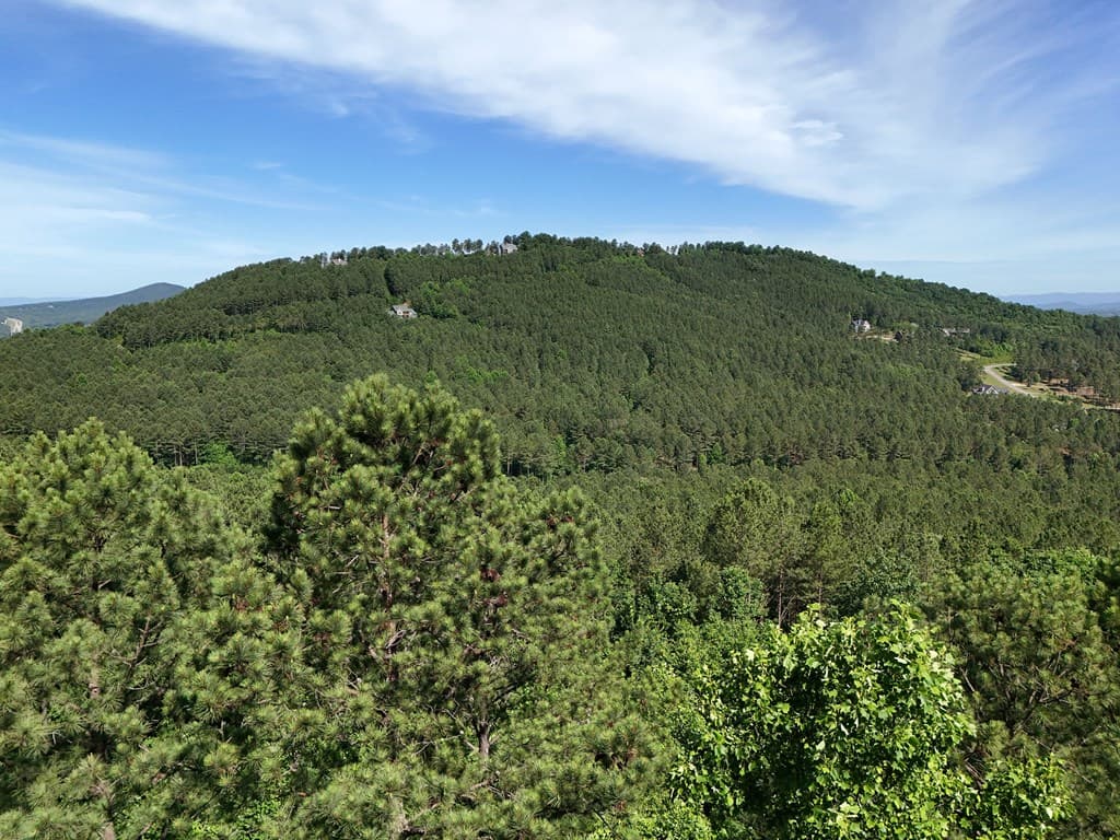 Lot 72 Thirteen Hundred, Blairsville GA 30512 - Photo