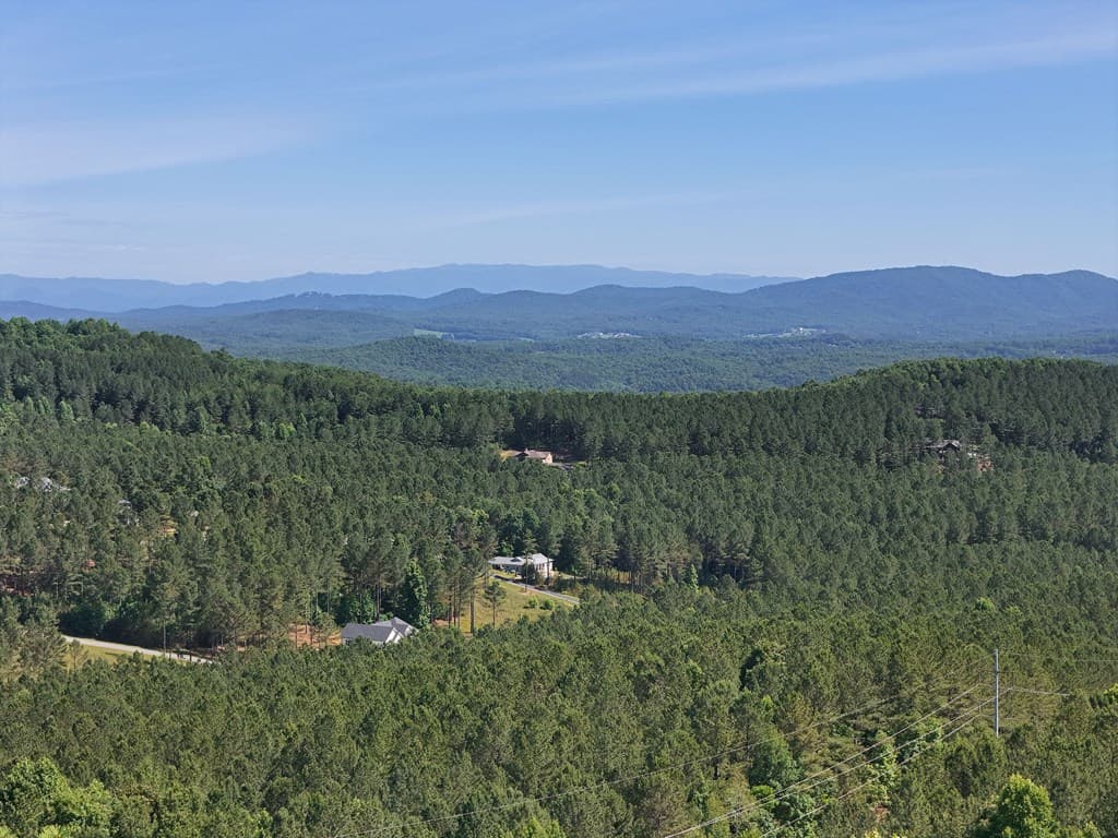 Lot 72 Thirteen Hundred, Blairsville GA 30512 - Photo