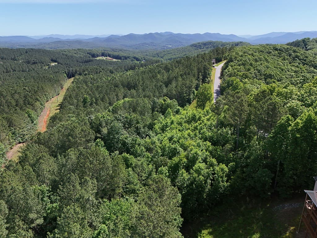Lot 72 Thirteen Hundred, Blairsville GA 30512 - Photo