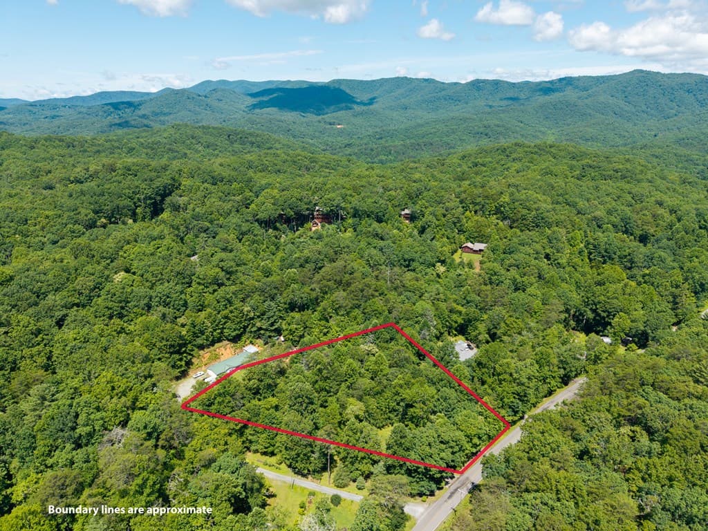 1643 Lucius Road, Cherry Log GA 30522 - Photo