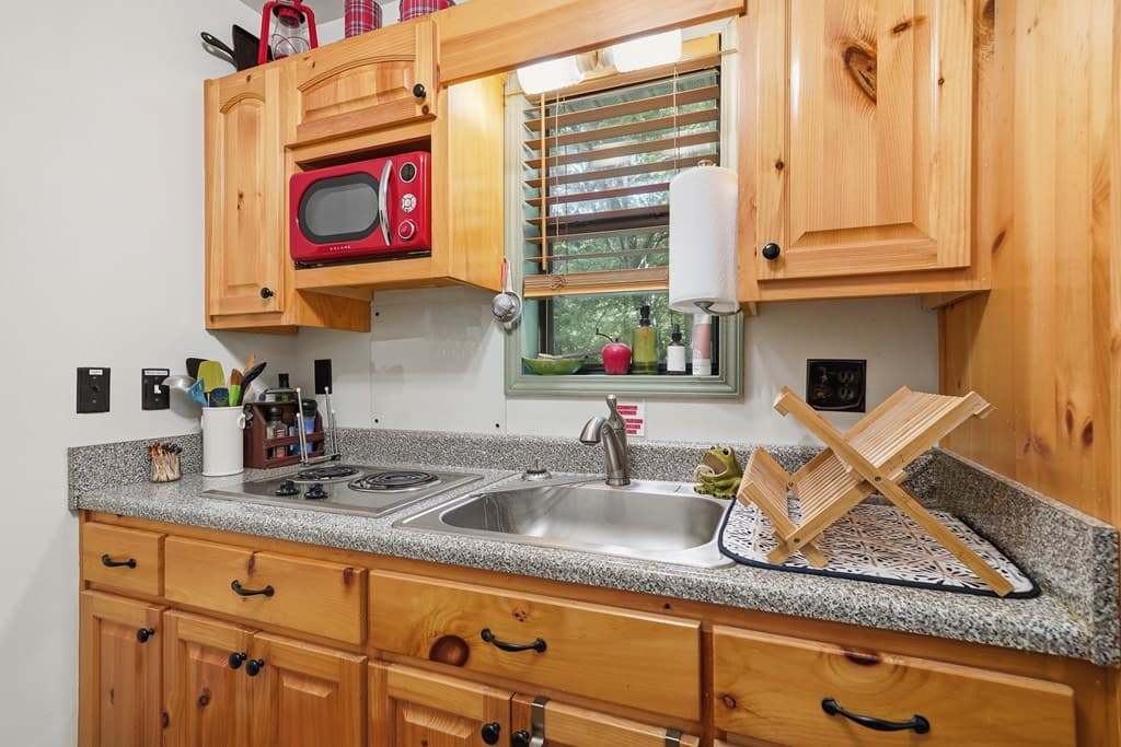 1643 Lucius Road, Cherry Log GA 30522 - Photo