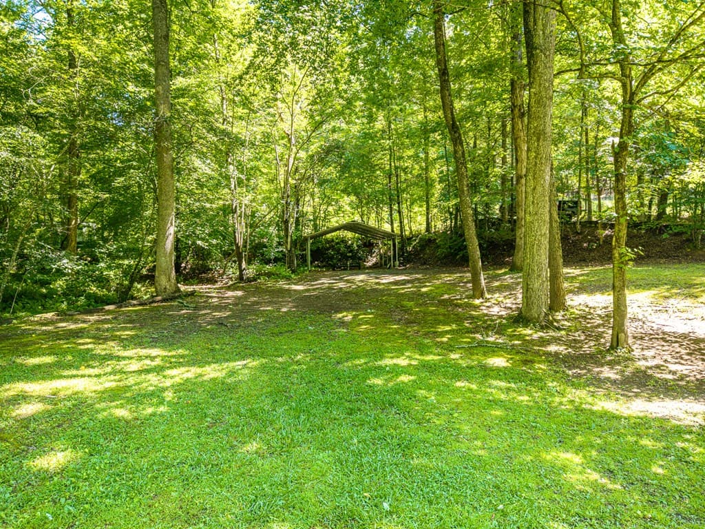 1643 Lucius Road, Cherry Log GA 30522 - Photo