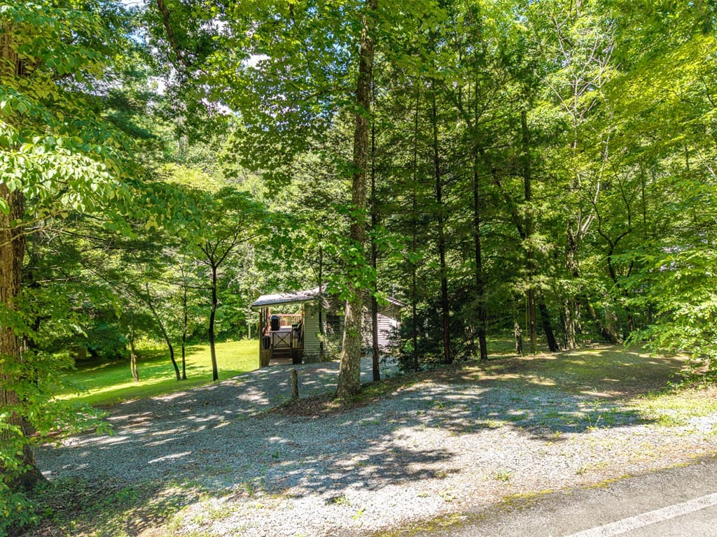1643 Lucius Road, Cherry Log GA 30522 - Photo