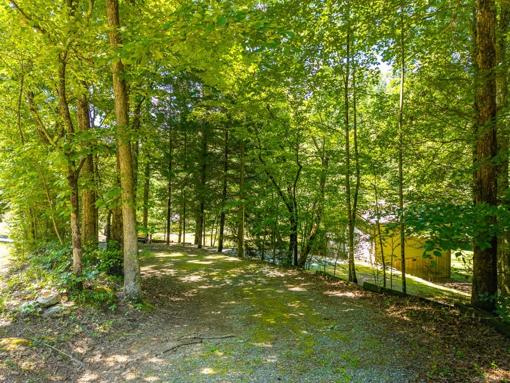 1643 Lucius Road, Cherry Log GA 30522 - Photo