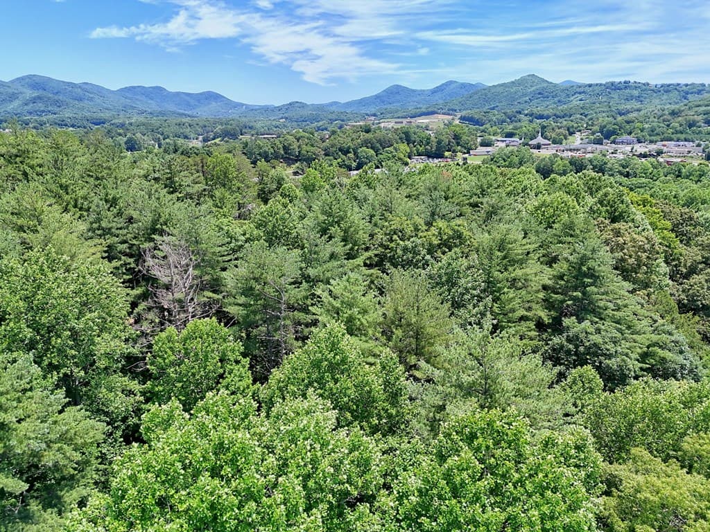 LT 302/3 W Hwy 515, Blairsville GA 30512 - Photo