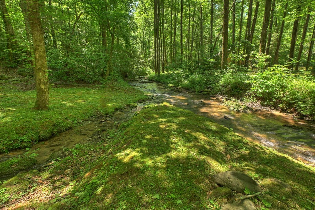 373 Barnes Creek Drive, Ellijay GA 30540 - Photo