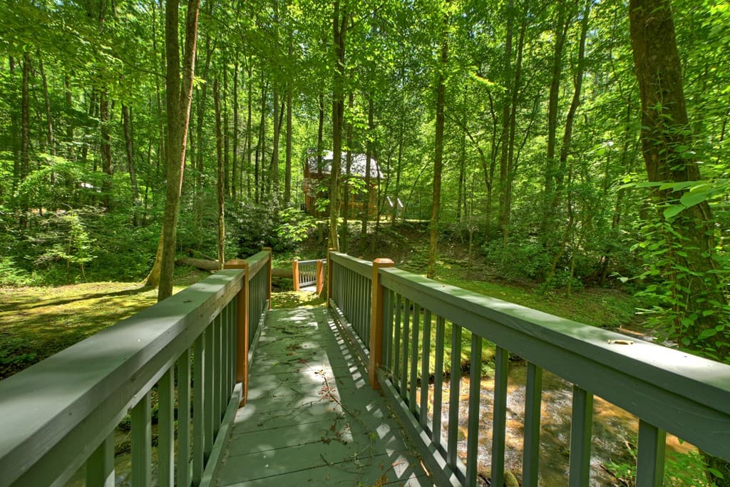 373 Barnes Creek Drive, Ellijay GA 30540 - Photo