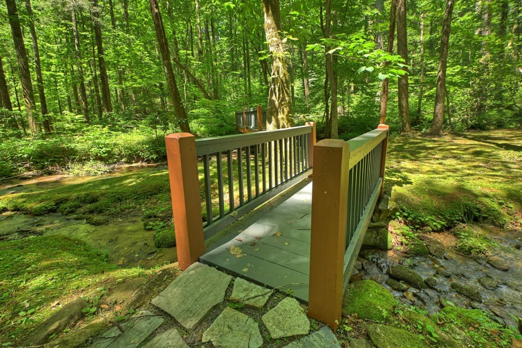 373 Barnes Creek Drive, Ellijay GA 30540 - Photo