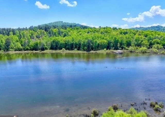 lot 43 Water Oak Lane, Blairsville GA 30512 - Photo